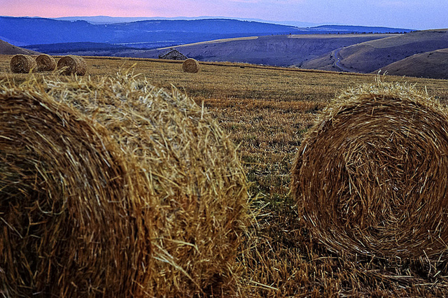 コースとセヴェンヌ、地中海性農業牧草地の文化的景観