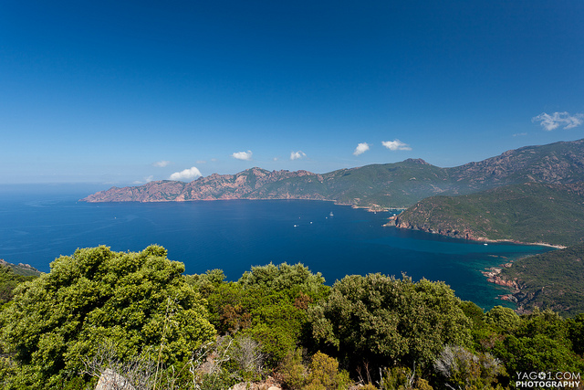 ポルト湾：ピアナのカランケ、ジロラッタ湾、スカンドラ保護区