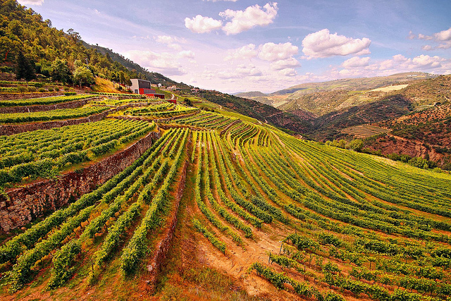 アルト・ドウロ・ワイン生産地域