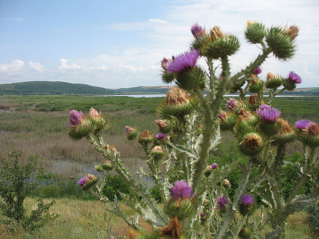 スレバルナ自然保護区
