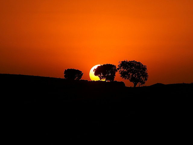 シミエン国立公園