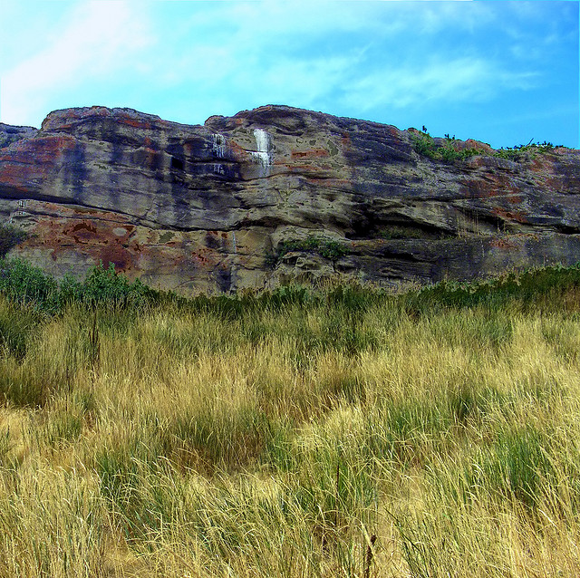 ヘッド-スマッシュト-イン・バッファロー・ジャンプ