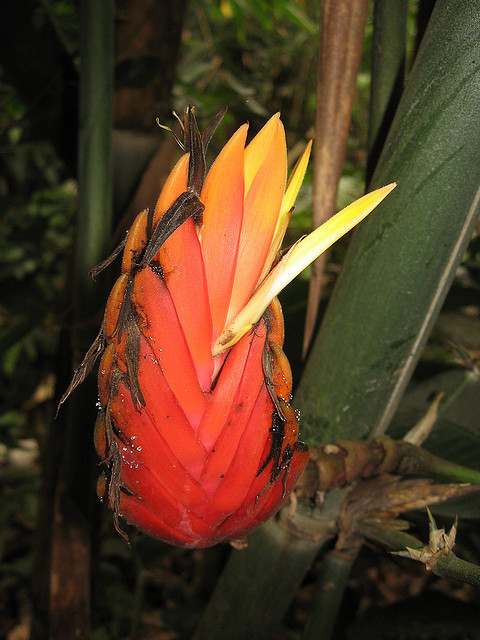 ノエル・ケンプ・メルカード国立公園